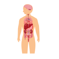 Medicina Interna